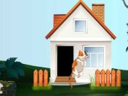 Jogo Escape de gato curioso online