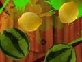 Jogo Frutificação  online