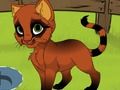 Jogo Meu gatinho  online