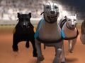 Jogo Corrida de galgos  online