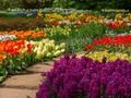 Jogo Jardim de Flores 2 online