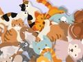 Jogo Encontre The Kitty  online