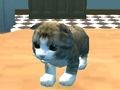 Jogo Simulador de gatos: Kitty Craft! online