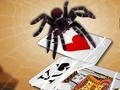 Jogo Spider Spider online Jogo Spider Spider online