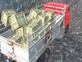 Jogo Motorista de caminhão offroad  online