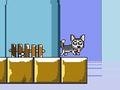 Jogo Senhor Salto Husky  online