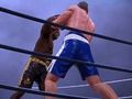 Jogo Clube de boxe online