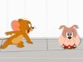 Jogo O show de Tom e Jerry: corrida de queijo  online