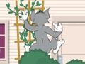 Jogo Tom und Jerry: Wasserbomben Wahnsinn online