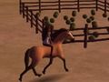 Jogo Espírito: Reite Los!  online