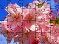 Jogo Quebra-cabeça: Flores  online