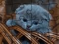 Jogo Quebra-cabeça: Gatos  online