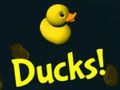 Jogo Patos!  online