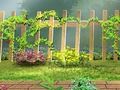 Jogo Cartas escondidas dos segredos do jardim  online