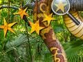 Jogo Selva Escondida Estrelas  online