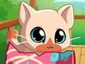 Jogo Meu gato de gatinho de animais de estimação de bolso  online