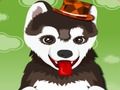 Jogo Dando banho em um cachorro fofo  online