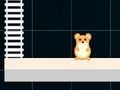 Jogo Hamster Inteligente: Par e Ímpar  online