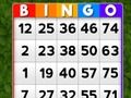 Jogo Bingo online Jogo Bingo online
