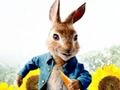 Jogo Peter Rabbit: Problemas no Labirinto  online