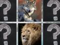 Jogo Animais da selva do fósforo da memória  online