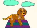 Jogo Animais de Estimação Coloring Book  online