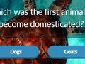 Jogo Curiosidades sobre animais  online