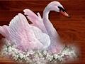 Jogo AMOR BIRDS Puzzle online