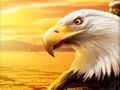 Jogo Águia  online