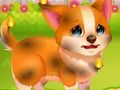 Jogo Pet engraçado do salvamento  online