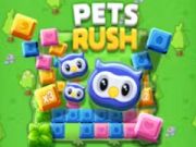 Jogo Animais de estimação correm online