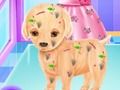 Jogo Cirurgia de cachorrinho do bebê elsa online