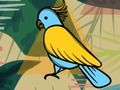Jogo Pássaros exóticos para colorir  online