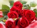 Jogo Rosas vermelhas  online