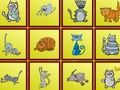 Jogo Gatos Findiff online