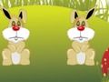 Jogo Coelhos felizes  online