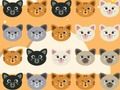 Jogo Matra de gatinha fofa 3 online