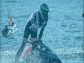 Jogo Barco a motor de corrida 3d  online