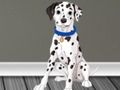 Jogo Médico Veterinário Escape 2  online