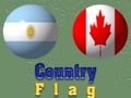 Jogo Quiz da bandeira do país infantil online