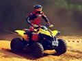 Jogo ATV Adventure Puzzle online