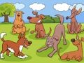 Jogo Diferenças Animais  online