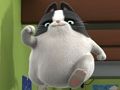 Jogo Animais de estimação do agente Binky do universo quebra-cabeças  online