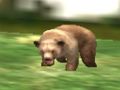 Jogo Safari Animal Hunter online