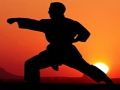 Jogo Guerreiros de caratê do pôr do sol  online