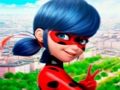 Jogo Coleção de quebra-cabeças LadyBug  online
