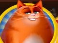 Jogo Kitty Scramble online