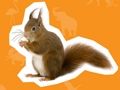 Jogo Casa de Animais  online