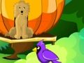 Jogo Blossom Garden Escape online