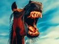 Jogo Animais engraçados e sorridentes  online